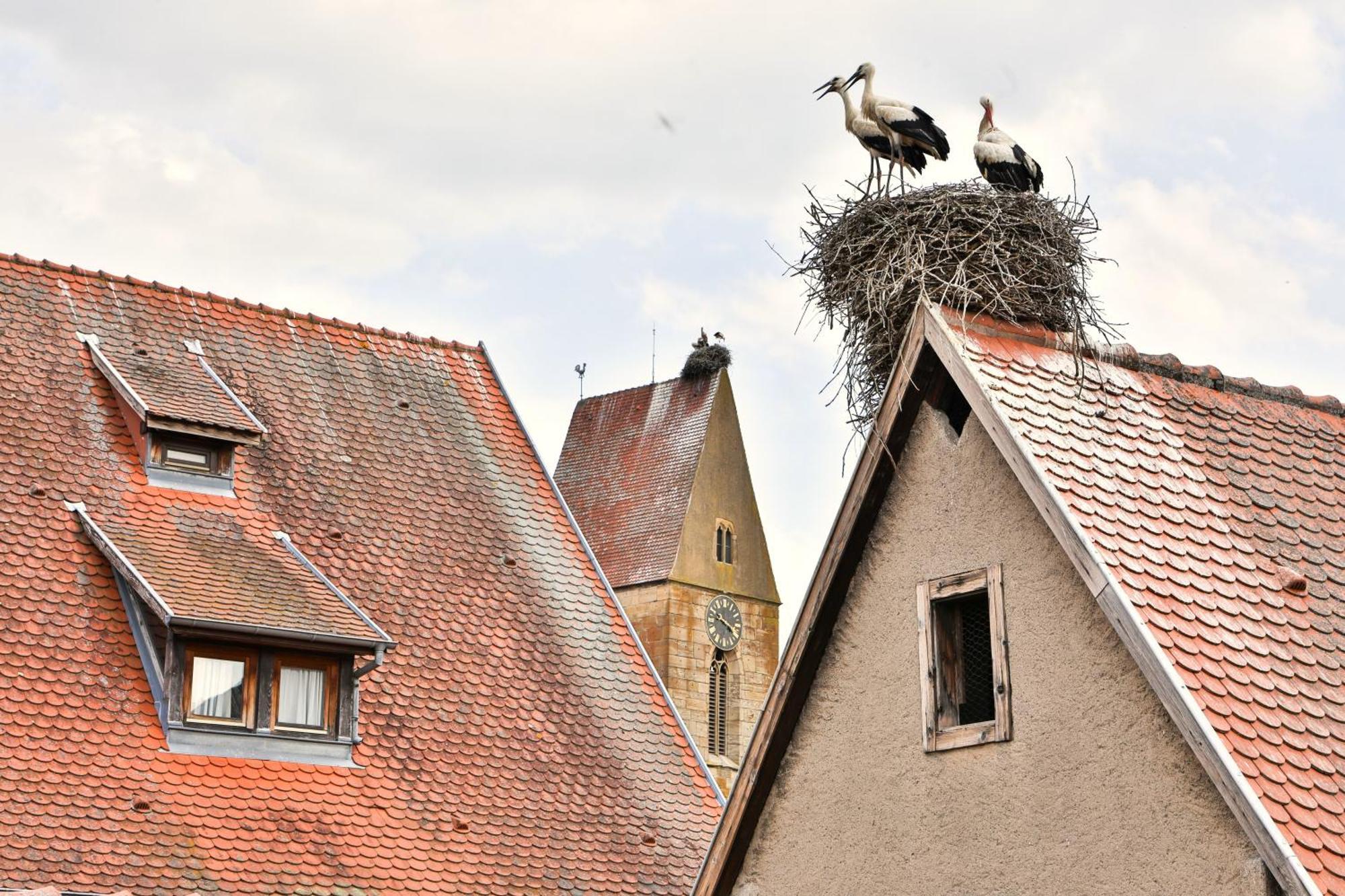 Appartamento La Légende des 2 Pierres Eguisheim Esterno foto