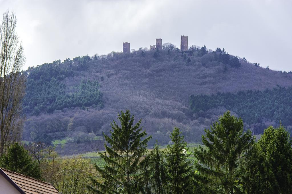 Appartamento La Légende des 2 Pierres Eguisheim Esterno foto