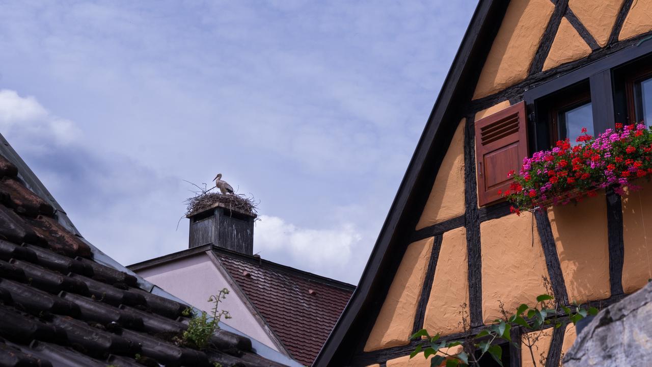 Appartamento La Légende des 2 Pierres Eguisheim Esterno foto